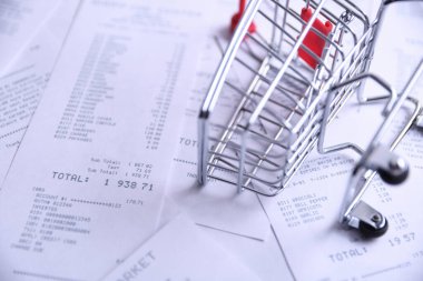 Dükkanlardan ve alışveriş arabalarından çekler. Kapat.