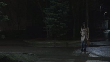 Sarhoş esmer döndürür bir hırsız tarafından saldırıya uğrar ve ev