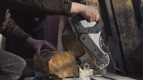 L'homme scie une bûche de bois avec une grande scie — Video