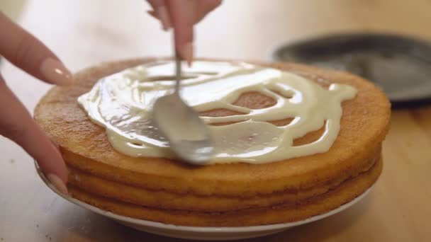 Koken. Toepassing van gecondenseerde melk op gebakken taarten — Stockvideo