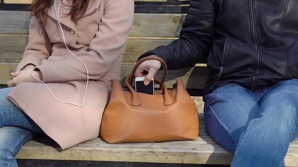 Man steals the phone from a woman's bag in the park.
