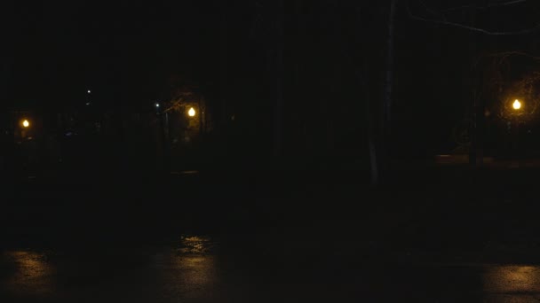 Jeune voleur attaque une femme ivre tard dans la nuit 