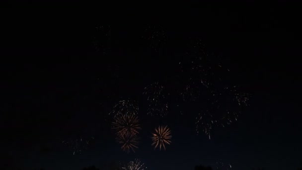 Fogos de artifício iluminam o céu. Celebração de Ano Novo — Vídeo de Stock