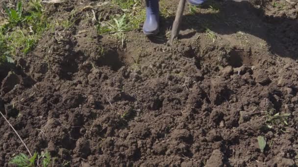 Frau arbeitet im Garten mit Schaufel. Aussaatzeit im ländlichen Raum — Stockvideo