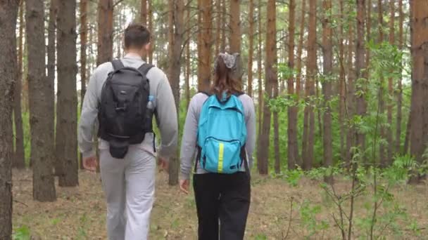 Mann und Frau gehen Händchen haltend durch den Wald — Stockvideo