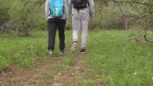 Mulher e um homem vão com mochilas ao longo da trilha — Vídeo de Stock