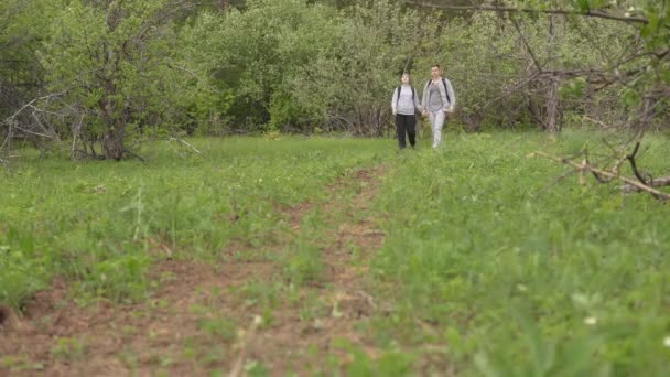 Женщина и мужчина идут с рюкзаками вдоль тропы — стоковое видео