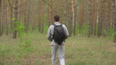 bir sırt çantası ile genç adam ormanda yürür. Arkadan görüntülemek