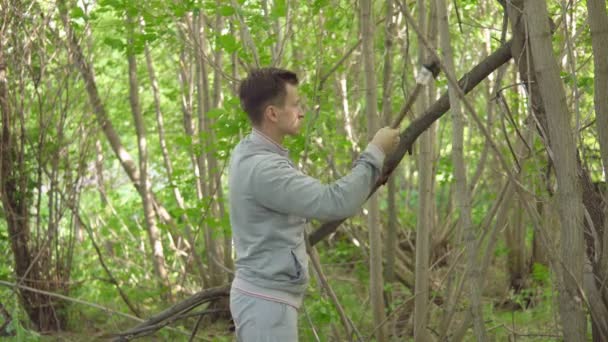 Jonge man met een bijl hakken van bomen in het bos — Stockvideo