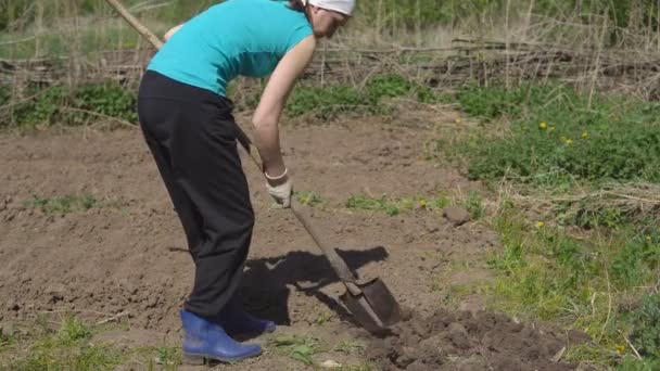 Kvinnan arbetar i trädgården med en spade. sådd säsong på landsbygden — Stockvideo