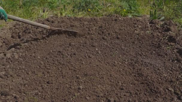 Saison des travaux de jardin. Préparation du sol pour semis — Video