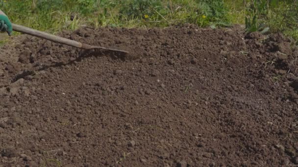 Season of garden works. Preparation of soil for sowing — Stock Video