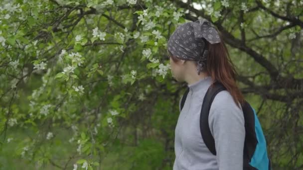 Tempo de floração. Uma jovem espirra perto de uma macieira, uma alergia — Vídeo de Stock