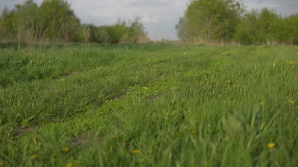 Draait op de natuur. De man houdt zich bezig met sport — Stockvideo