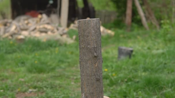 Rohlinge für den Winter. Ein Mann hackt Holz auf dem Hof — Stockvideo