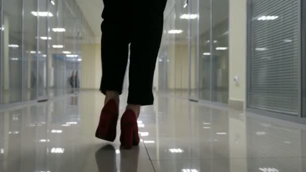 Dettaglio gambe e piedi di donna d'affari che cammina al chiuso in ufficio — Video Stock