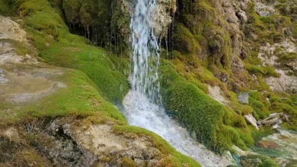 Belles chutes d'eau dans la forêt profonde au parc . — Video