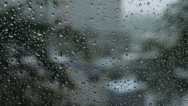 Drops of rain on blue glass background. Street bokeh lights out Of focus. Autumn abstract backdrop — Stock Video