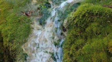 Park derin ormandaki güzel aterfalls.