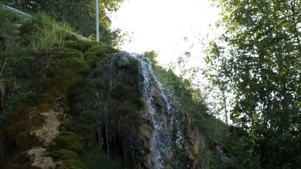 Belles chutes d'eau dans la forêt profonde au parc . — Video