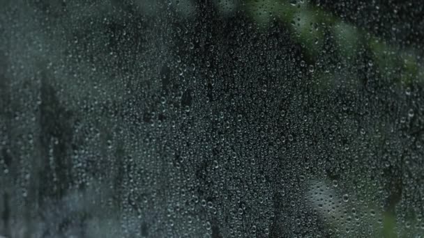 Karanlık ağaçlar arka plan üstünde belgili tanımlık pencere üzerinde yağmur damlaları — Stok video