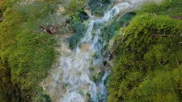 Belles chutes d'eau dans la forêt profonde au parc . — Video