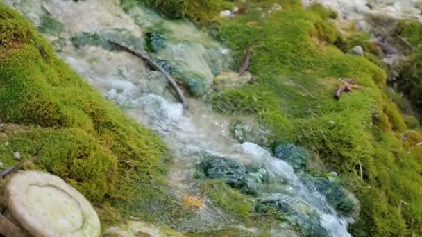 Belles chutes d'eau dans la forêt profonde au parc . — Video