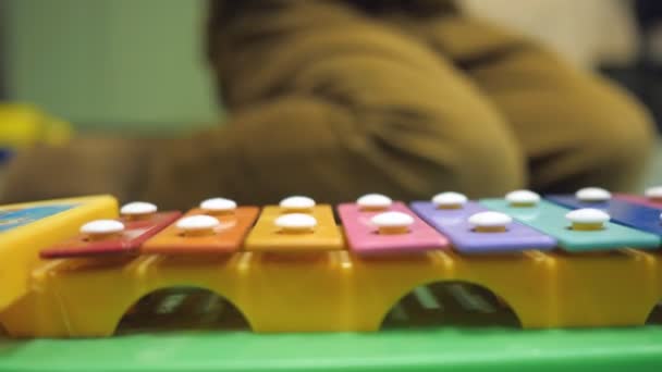 Ксилофонна іграшка в кольорі веселки. Освітня іграшка для малюка і малюка — стокове відео