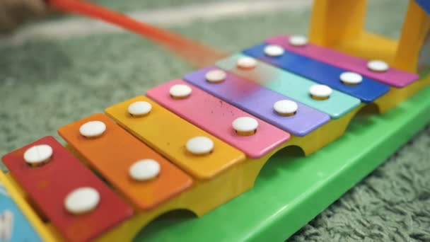Gökkuşağı renkli ksilofon oyuncak. Eğitim oyuncak çocuk ve yürümeye başlayan çocuk için — Stok video