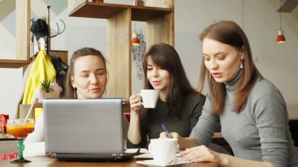 Colegas mujeres discuten proyecto conjunto en la cafetería en el centro de coworking utilizando un ordenador portátil . — Vídeo de stock