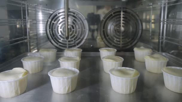 Muffiner i pappkopper stekes i ovn. Sett gjennom glasset . – stockvideo
