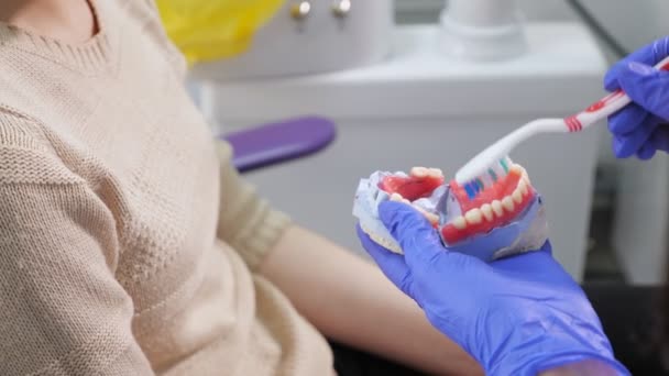 Mujer dentista mostrando a la paciente en un modelo de mandíbula cómo limpiar los dientes con cepillo de dientes correctamente . — Vídeo de stock