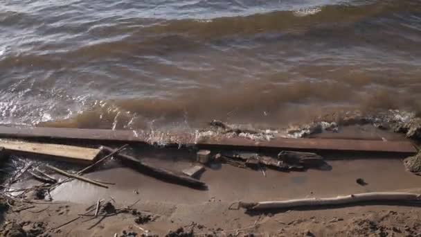 Смітник вкладений у гілки на пляжі — стокове відео