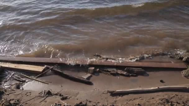 Kosz jest położony w oddziałach na plaży — Wideo stockowe