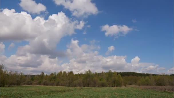 El lapso de tiempo de nubes blancas que se forman sobre un bosque verde y sobre un cielo azul, en un cálido día soleado de verano — Vídeos de Stock