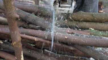 Ormanda elektrikli testere ile ağaç testere erkek logger testere