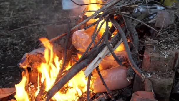 Пластиковые бутылки горят в огне — стоковое видео