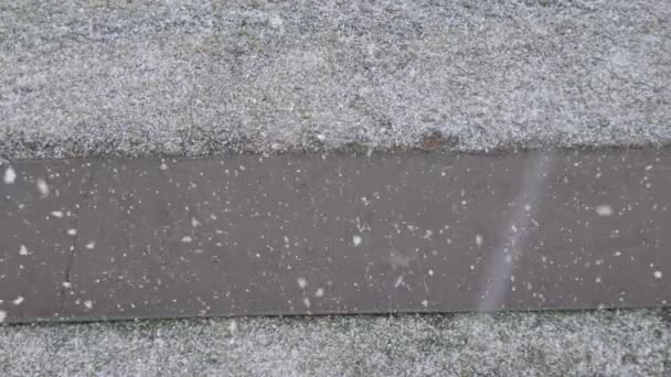 Första snöfall. snö faller på trottoaren — Stockvideo