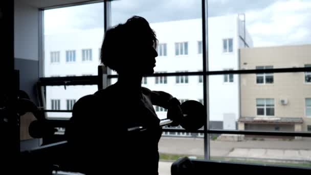 Silhouette of a woman at the window lifting barbell for shoulders muscles. — Stock Video