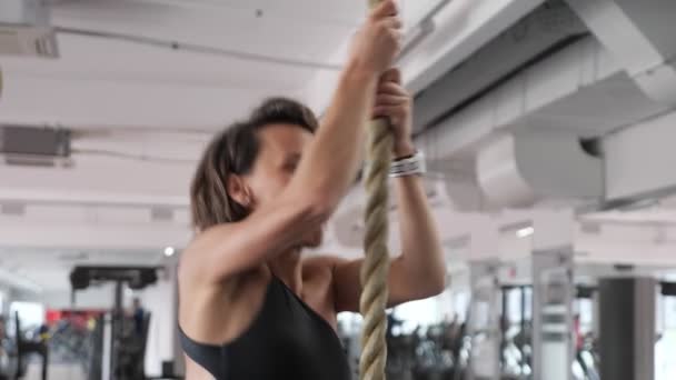 Sportive woman is climbing on rope in gym. Strength workout, sport concept. — Stock Video