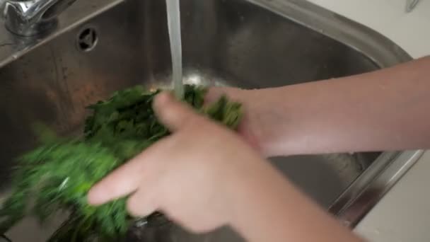 Kvinnan tvättar färska organiska grönsaker greener för sallad under rinnande vatten i diskbänk — Stockvideo