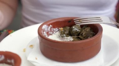 Kadın kil kase servis ekşi krema ile dolma yiyor, çanak closeup.