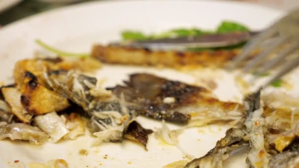 Голодний перевертає залишки з'їденої риби на тарілці в пошуках м'яса . — стокове відео