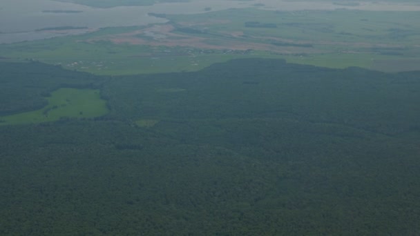 Вид з повітря на зелені поля, ліс і річку в тумані з вікна літака . — стокове відео