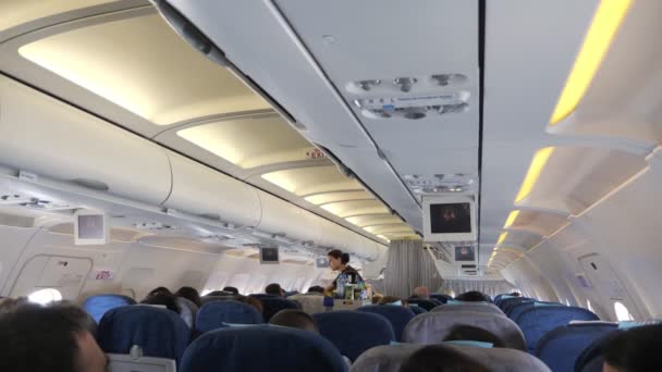 Baku, Azerbaijan, 23-05-2019: Stewardess distributes food and drinks on plane. — Stock Video