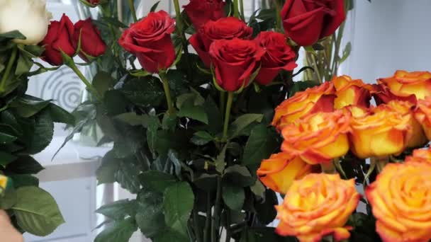 Spuiten van rozen met water van een sproeier in bloemenwinkel, close-upweergave. — Stockvideo