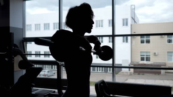 Silhouet van een vrouw bij het raam tillen barbell voor schouders spieren. — Stockvideo