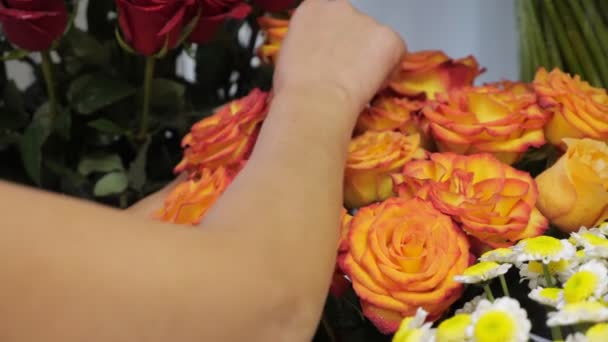 Donna fiorista si prende cura di fiori strappando petali di rosa secchi, mani primo piano . — Video Stock