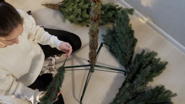 Signora con inserti coda di cavallo ramo artificiale albero di Natale — Video Stock