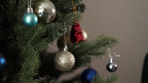 Mujer con cabello suelto decora árbol de navidad artificial — Vídeo de stock